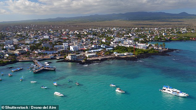 Claudia's journey begins with a two-hour flight from Ecuador to Baltra Island, before taking the ferry to Santa Cruz (above), home of the Charles Darwin Research Station.