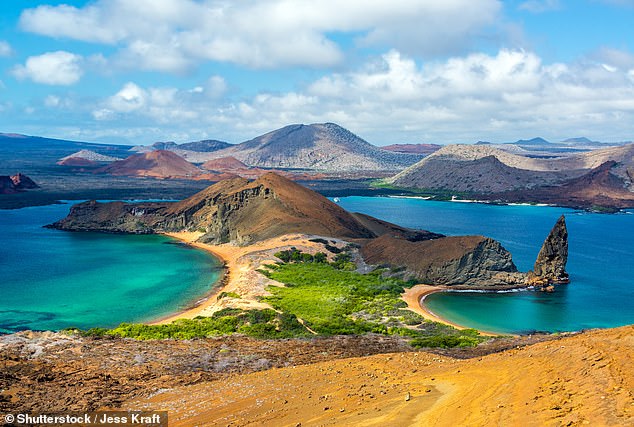 1693598364 609 Inside Darwins dreamland The creatures of the Galapagos Islands are