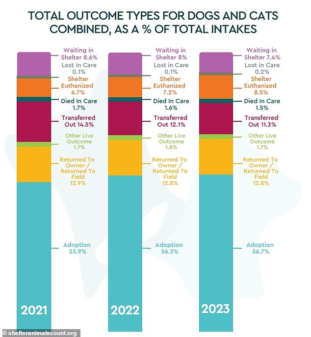 The percentage of dogs and cats culled by shelters has increased from 6.7 percent in 2021 to 8.5 percent this year, according to the Shelter Animals Count.