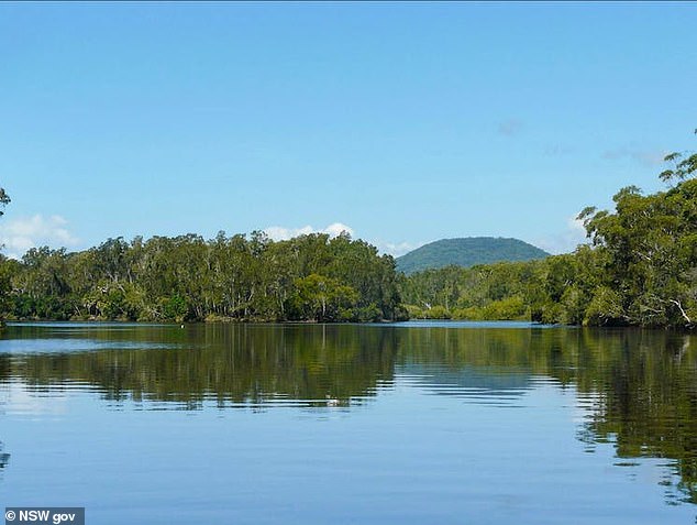 Turnbull was allegedly hired to dispose of Schafer-Turner's body to pay off drug-related debts (pictured, Warrell Creek near Macksville, where the body was found)