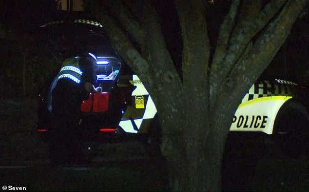 Matthew was hit by a car, believed to be driven by a member of his family, on private property in Lobethal, Adelaide (pictured, police on scene)