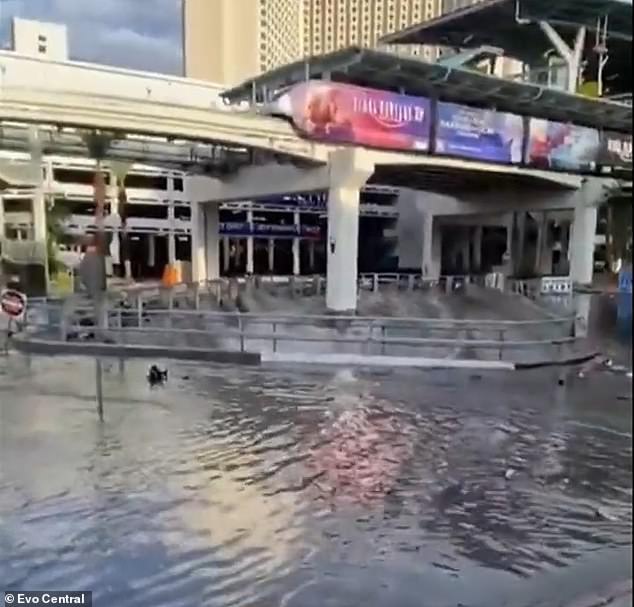 Dirty flood water engulfed the Strip, passed under casinos and circulated under the famous High Roller Ferris wheel on Saturday