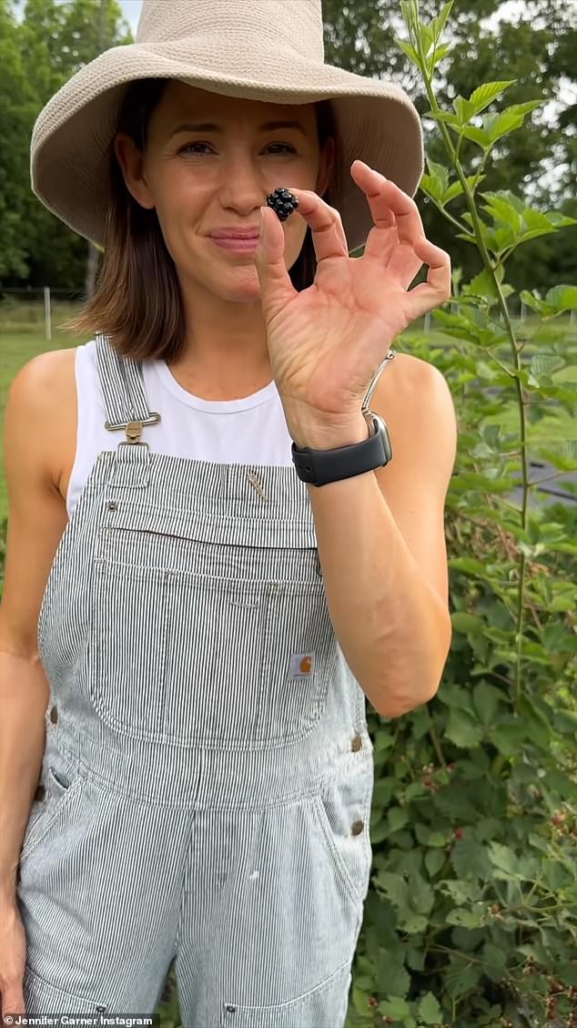 Candy from nature: In the clip, the Alias ​​star showed off the fresh blackberries from her farm and picked a few before popping them into her mouth