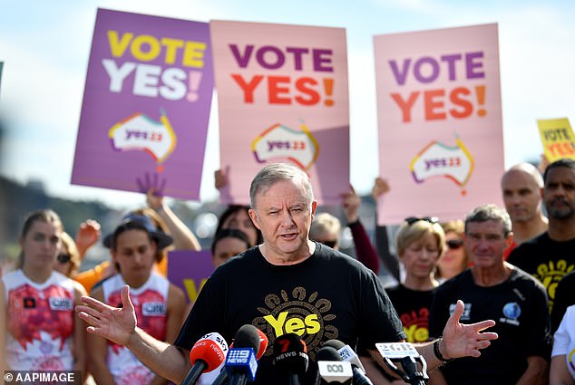 Farnham and the use of his song in the advert contributed to the recognition of the importance of an Indigenous voice for Parliament (pictured Anthony Albanese addresses the media following Pat Farmer's arrival at the Sydney Opera House during his Run for the Voice campaign)