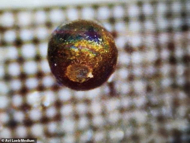 The metal spheres are believed to be from the IM1 meteorite, which Professor Avi Loeb has said originates from 