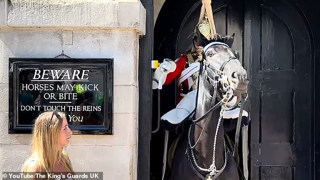 A member of the Royal Guard pressed the emergency button after struggling to control his horse