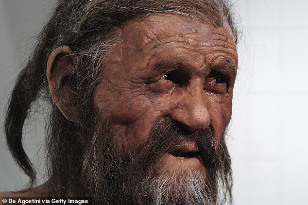 Pictured: A replica of Ötzi, the iceman discovered in the Italian Alps in 1991