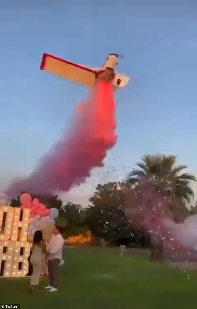 The plane continued to spiral out of control past the palm trees in the backdrop of the couple's idyllic moment