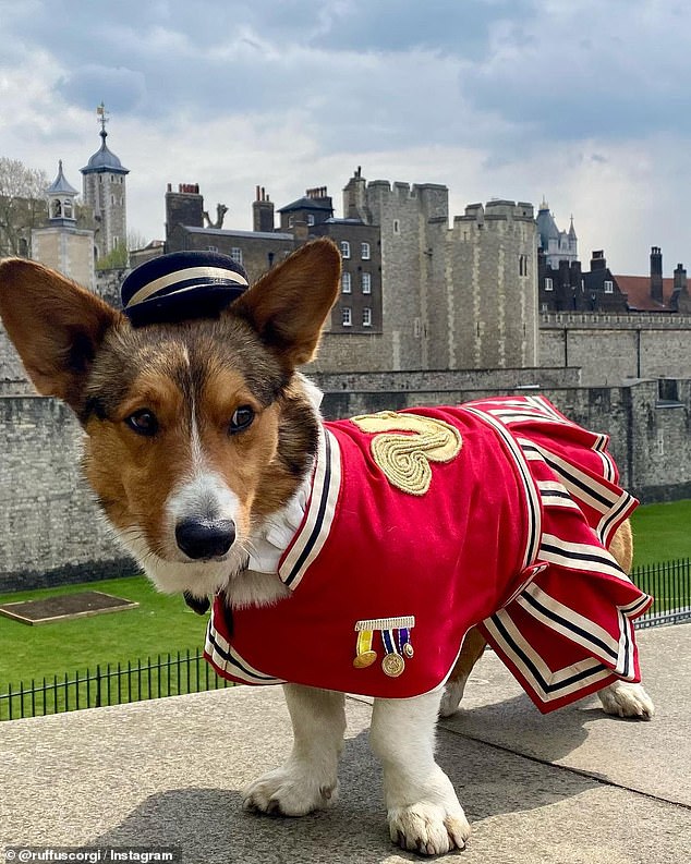 More than 50 pups attended last year's gathering as the nation mourned the monarch, with many dressing up in patriotic costumes to pay tribute