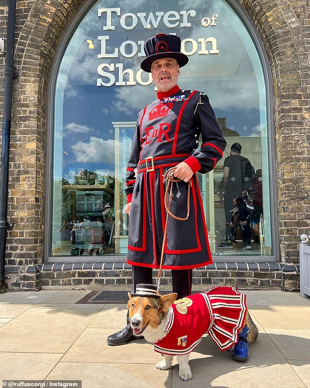 Fashionista Ruffus isn't much of a fan of the costumes - says Mrs Crerer-Gilbert - but he'll put up with them because he knows there's an ice cream for him at the end of the day