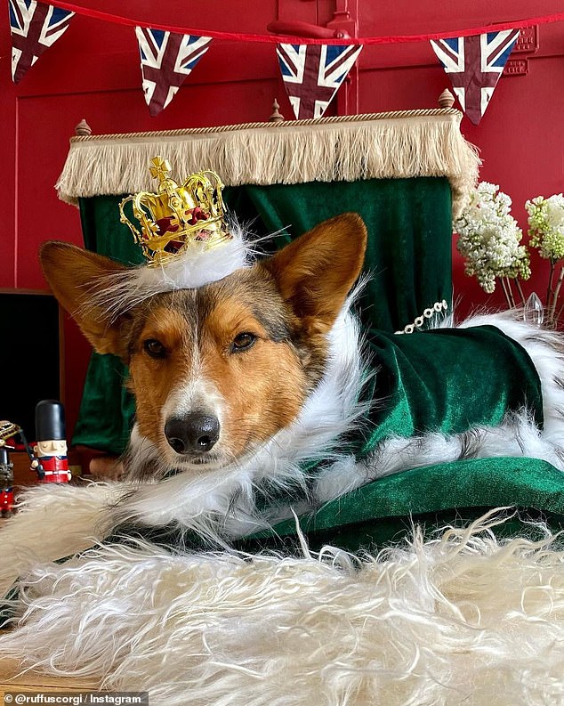 Last year, despite clashing with a train strike and the London Half Marathon, Corgis showed up a month after her death to pay respects to the Queen