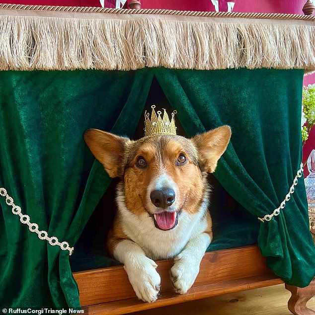 The world has come to associate the Queen with Corgis, and for 85 years, between 1933 and 2018, the Queen owned at least one Corgi