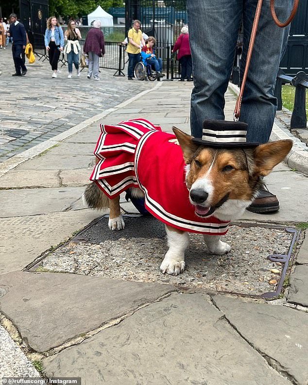 Last year, despite clashing with a train strike and the London Half Marathon, corgis turned out in force a month after her death to pay respects to the Queen