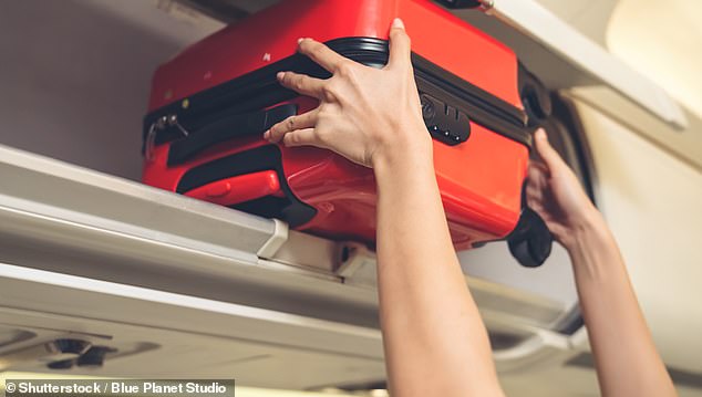 The cabin crew member urged her TikTok followers to never throw loose items in the overhead bin, claiming they are filthy and never cleaned.