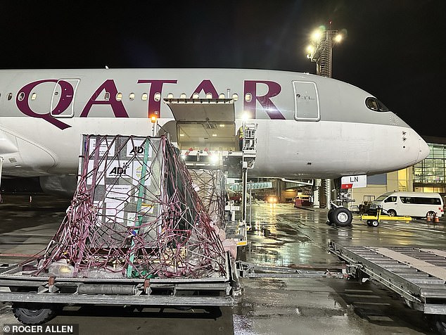 Ruben is loaded onto the plane for his flight to freedom