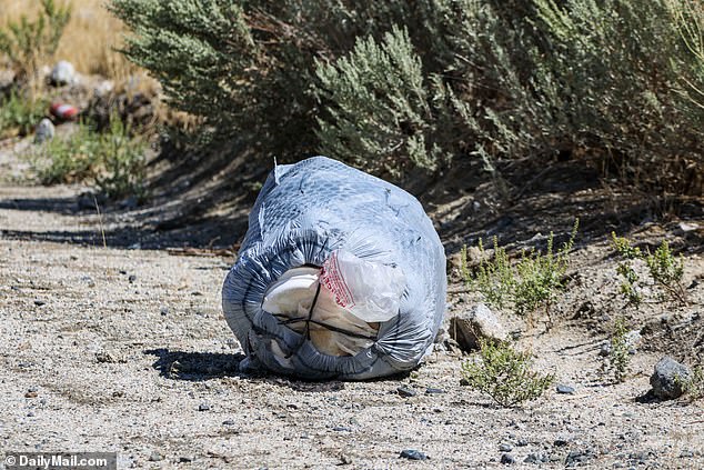 It looked like people had just thrown their garbage bags out of their cars on Monday