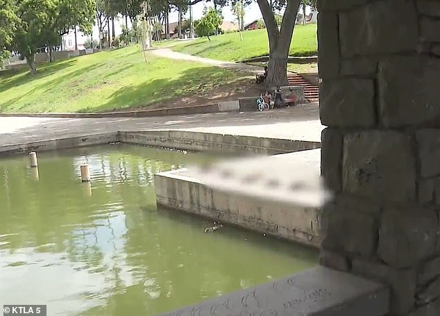 Ducks are seen along the lake in the Boyle Heights area