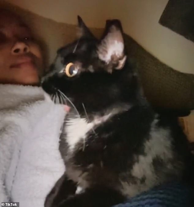 After Galy was told to return to the United States, she was unable to be with her cat for another 13 hours until the next plane left for LAX.  Galy said China Airlines told her the cat is being held in the basement with a blanket over her carrier for now