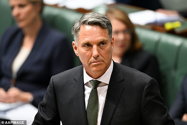 The heated argument erupted as Nat dug deep into the controversy surrounding Deputy Prime Minister Richard Marles (pictured) and his eye-watering $3.6 million travel expenses.