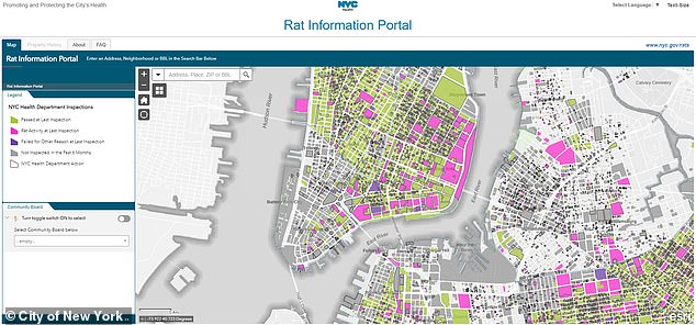 The city also 'celebrated' anti-rat day by posting an 'Interactive Rat Map' on the city's website