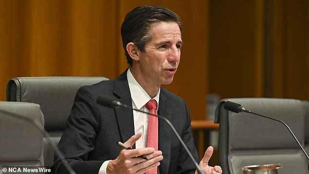 Liberal MP Simon Birmingham (pictured) said special purpose aircraft performed an 'essential function' for ministers but there was an expectation of 'reasonable transparency' about how they were used