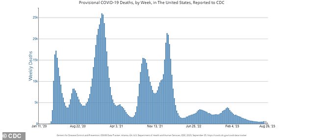 The chart above shows the weekly deaths from Covid in the US during the pandemic as of August 31