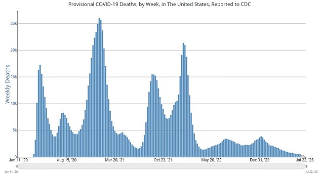 The chart above shows recorded US Covid deaths per 100,000 people.  These have not yet begun to rise and remain at a record low