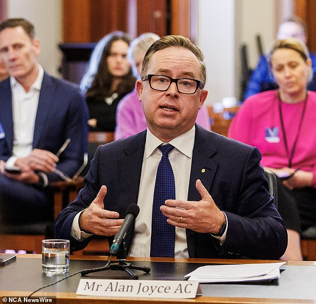 The comments came in light of the resignation of Qantas CEO Alan Joyce (pictured), who was questioned at a Senate hearing last week.