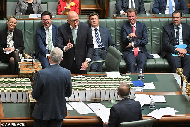 The opposition leader became unusually agitated during question time on Wednesday after transport minister Catherine King gave a vague answer about who she met ahead of the decision