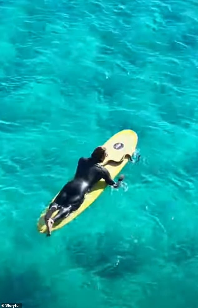 Surfer Higor Fiuza took his carpet python Shiva for a swim before the pair rode the waves together