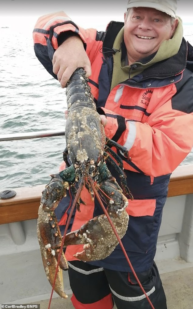 Boat skipper Carl Bradley (pictured) recognized the huge lobster by its distinctive claw