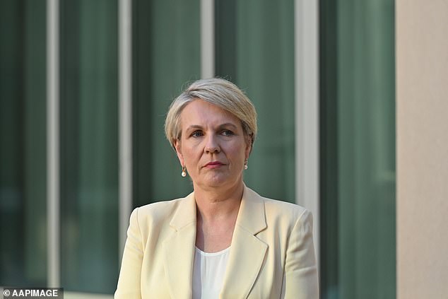 Bordering the Wet Tropics World Heritage Area in Far North Queensland, the fate of Chalumbin rests entirely in the hands of Environment Minister Tanya Plibersek