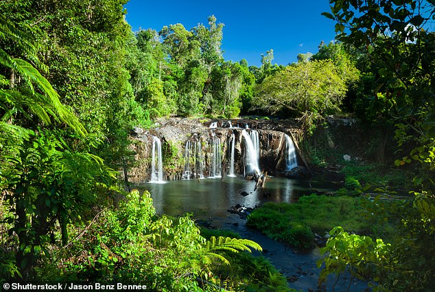 Sir David Attenborough once described the region of the Wet Tropics as 'the most extraordinary place on earth'