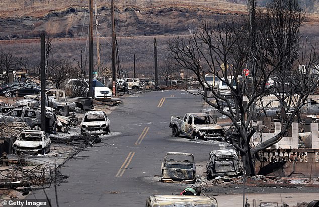 Maui County has filed its own lawsuit over the blaze, blaming the power company for causing the deadly fires