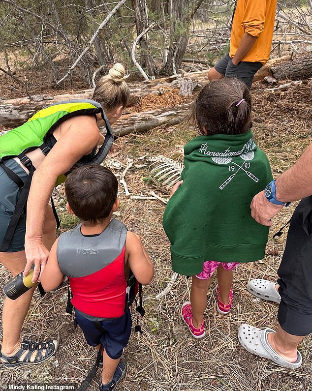 Nature run: Katherine, five, and Spence, two, were mesmerized when they came across the remains of a deer during a nature walk