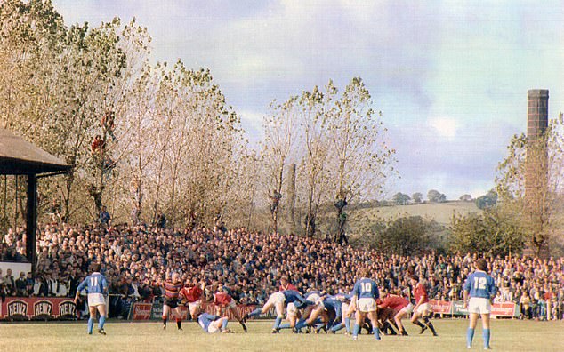 Best seat of the hour: Spectators climb trees to glimpse Ital's match against USA in Otley, Leeds, in the 1991 pool stage. Italy won 30-9, but both teams crashed as England and New Zeeland went through