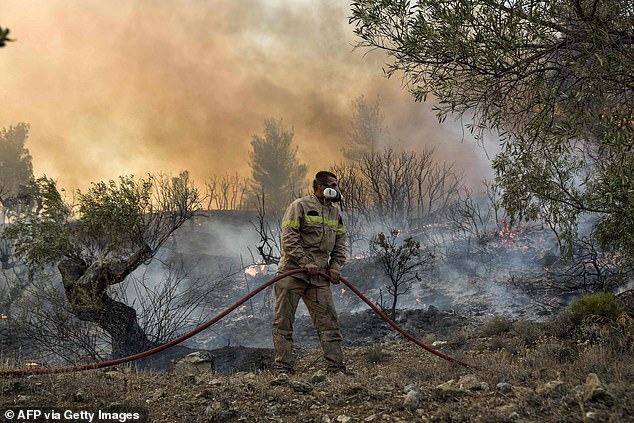 Firefighters fight flames burning vegetation during a wildfire near Prodromos, 100 km northeast of Athens, on August 21, 2023