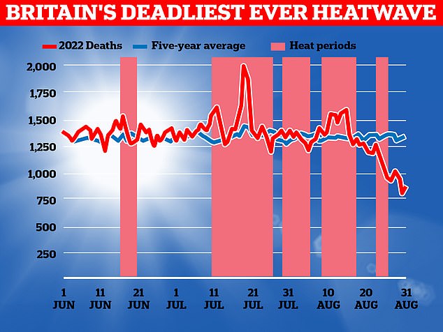 The graph shows the number of daily deaths between June and August 2022 (red line), the five-year average of daily deaths (blue line) and heat wave periods (red bars).