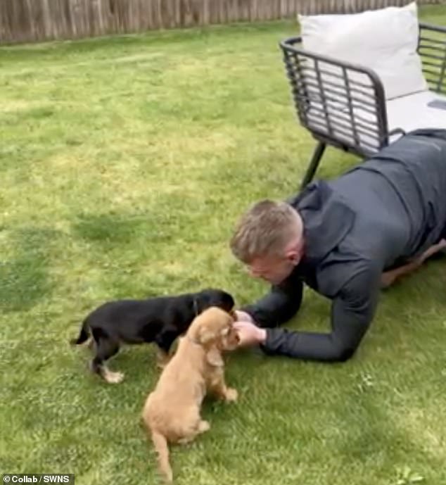 Lily bought the puppies from a breeder for £3,000 on Pets4Homes, the puppies are the same breed but have different coat colors