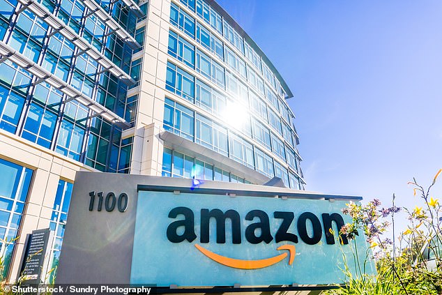 A slew of others have since followed suit, with Silicon Valley-based Amazon ordering its corporate staff to return to work at least three days a week in May.