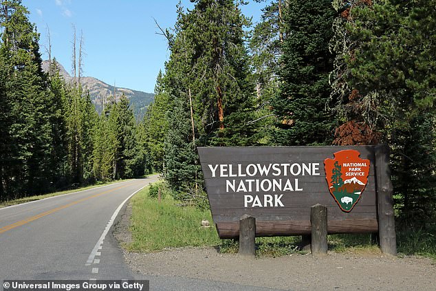 The mama bear was confirmed to be the same bear that fatally attacked a woman in Yellowstone National Park two months ago