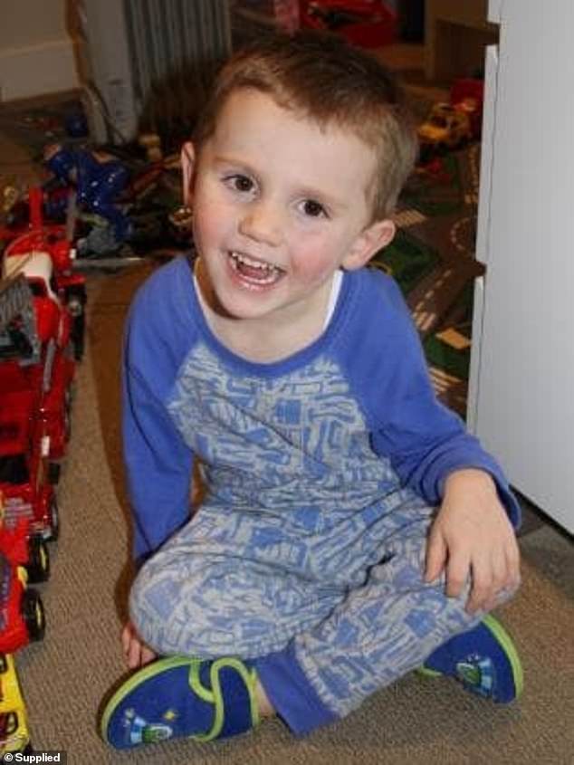 William Tyrrell was three years old when he disappeared in 2014 from an estate in Kendall that belonged to his foster grandmother on the north coast of NSW.