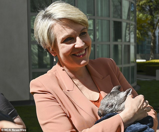 Environment Minister Tanya Plibersek said cats, both domestic and wild, are the biggest threat to native species