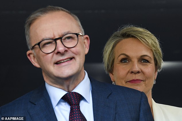 Prime Minister Anthony Albanese (left) is pictured with Tanya Plibersek