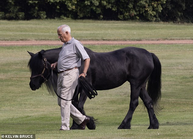 The glossy black pony was last ridden by the late monarch in July 2022 and looked good today during a walk in September
