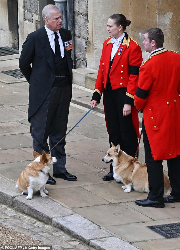 Prince Andrew, 63, pictured with the Queen's corgis as he arrived at Windsor Castle ahead of her housewarming ceremony following the late monarch's death last year