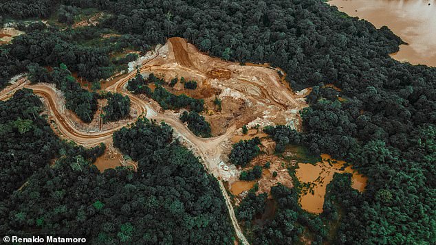 Key questions too often remained unanswered in the companies' reports: Was the total area reforested by the tree planting efforts?  Did the company specify which region of the country or marine ecosystem the project would focus on?  Above deforestation in Trinidad and Tobago