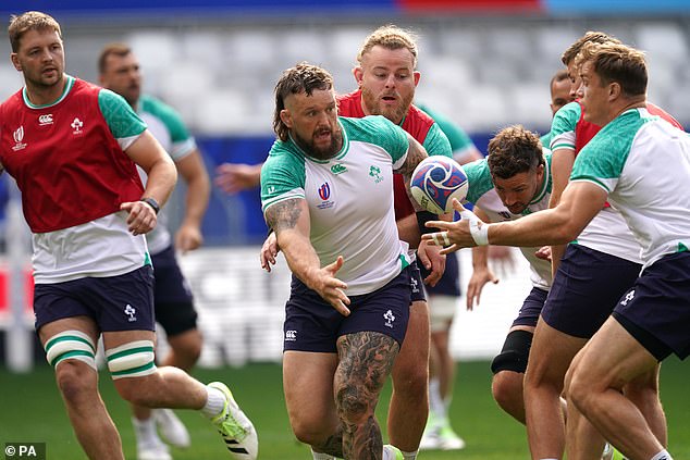 The Irish coach has to make a number of selection decisions before each match