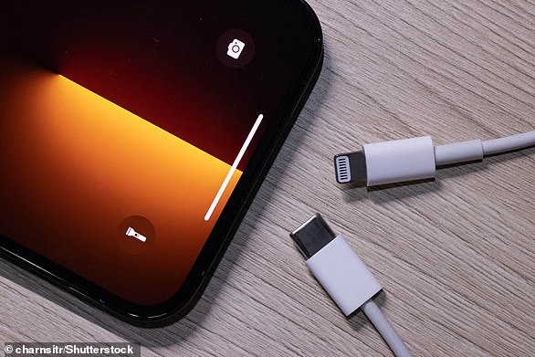 iPhones currently use Apple's own power connector technology 'Lightning' (top right), recognizable by the eight pins.  But Apple will have to comply with a new EU law that makes USB-C (below right) the EU standard.  This means that iPhones sold in EU countries must come with USB-C instead of Lightning