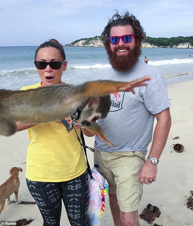 Surprise!  This couple posed for a romantic photo in the Dominican Republic, but it was bombarded by a Spider Monkey